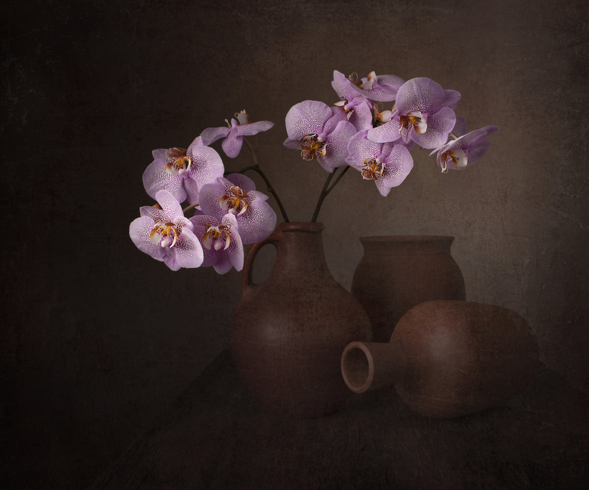 Beauty and simplicity Poster och Canvastavla