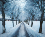Swedish winter Poster och Canvastavla