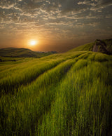 Tuscany's energy Poster och Canvastavla