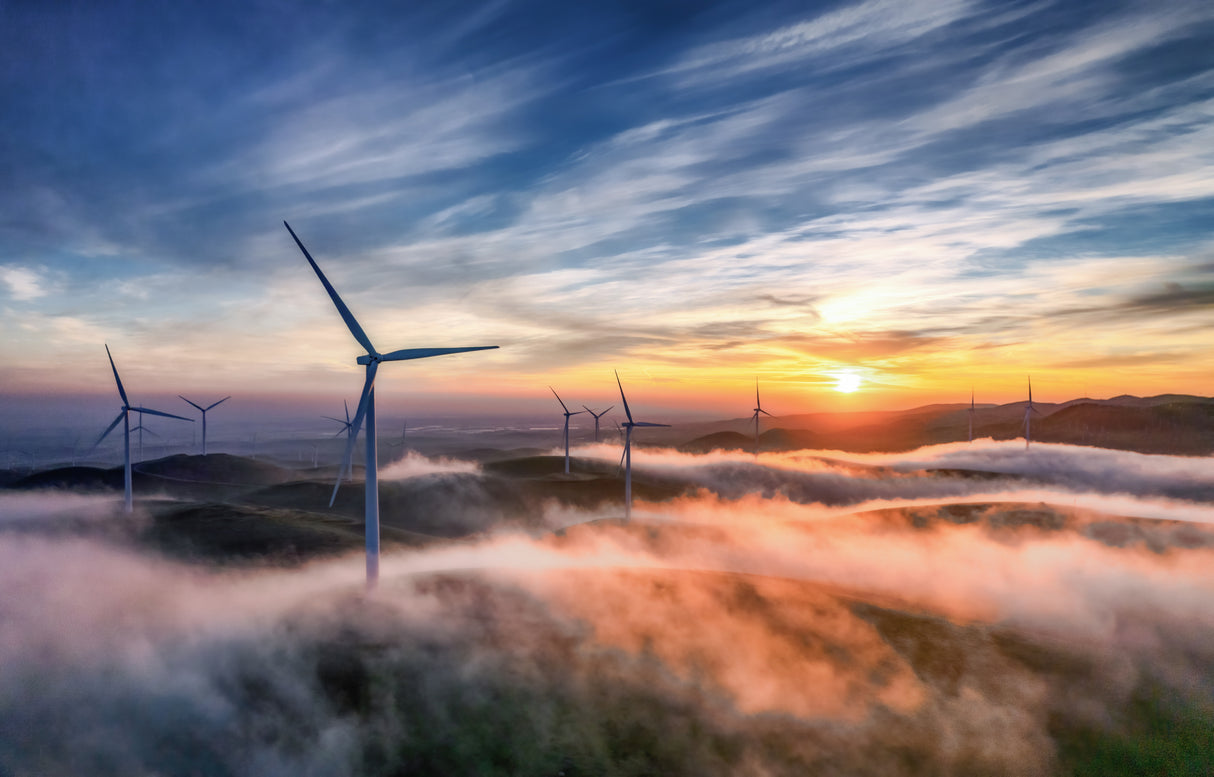 Sunrise at the Windmill Farm Poster och Canvastavla