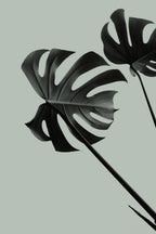Monstera Teal 09 Poster och Canvastavla