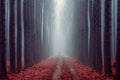 The Path Poster och Canvastavla