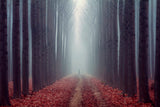 The Path Poster och Canvastavla