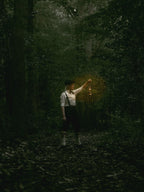 The Boy Lost in the Woods Poster och Canvastavla