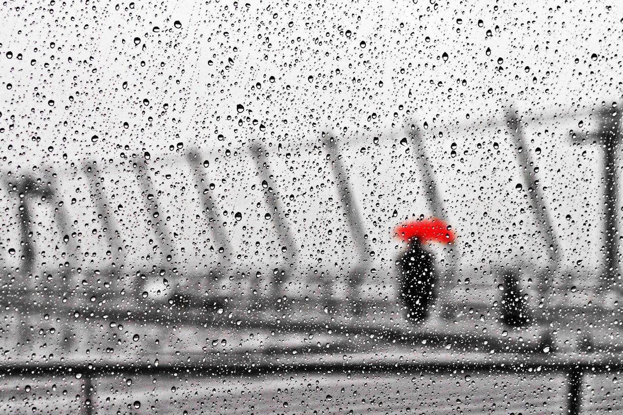 Rainy day Poster och Canvastavla