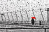 Rainy day Poster och Canvastavla