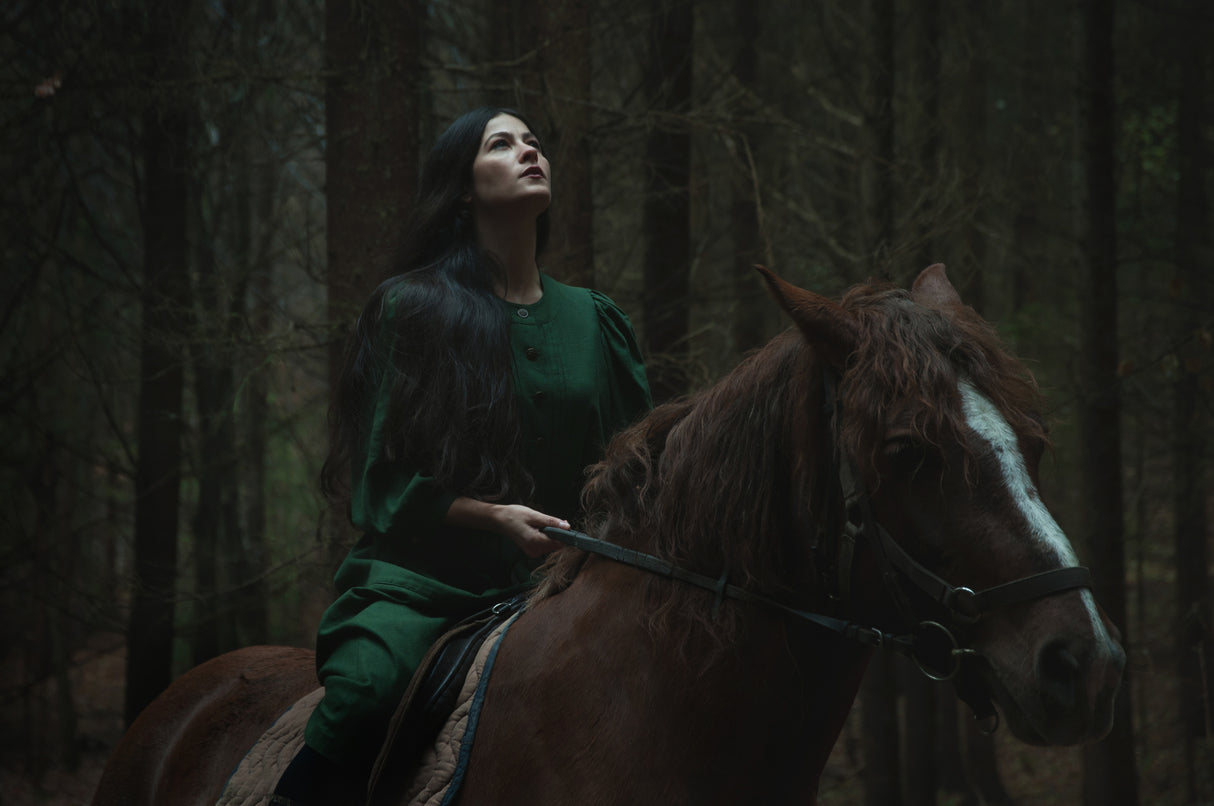 Forest story Poster och Canvastavla