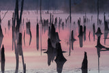 Lake @ Morning Poster och Canvastavla
