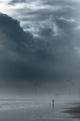 Before the storm Poster och Canvastavla