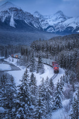 Train form Winter Poster och Canvastavla