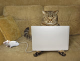 Cat-hacker... Poster och Canvastavla