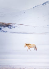 During the snow storm Poster och Canvastavla