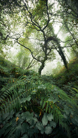 Tree World Poster och Canvastavla