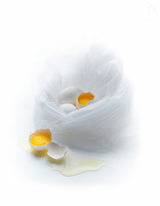 Eggs Poster och Canvastavla