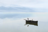 Heron on a Boat II Poster och Canvastavla