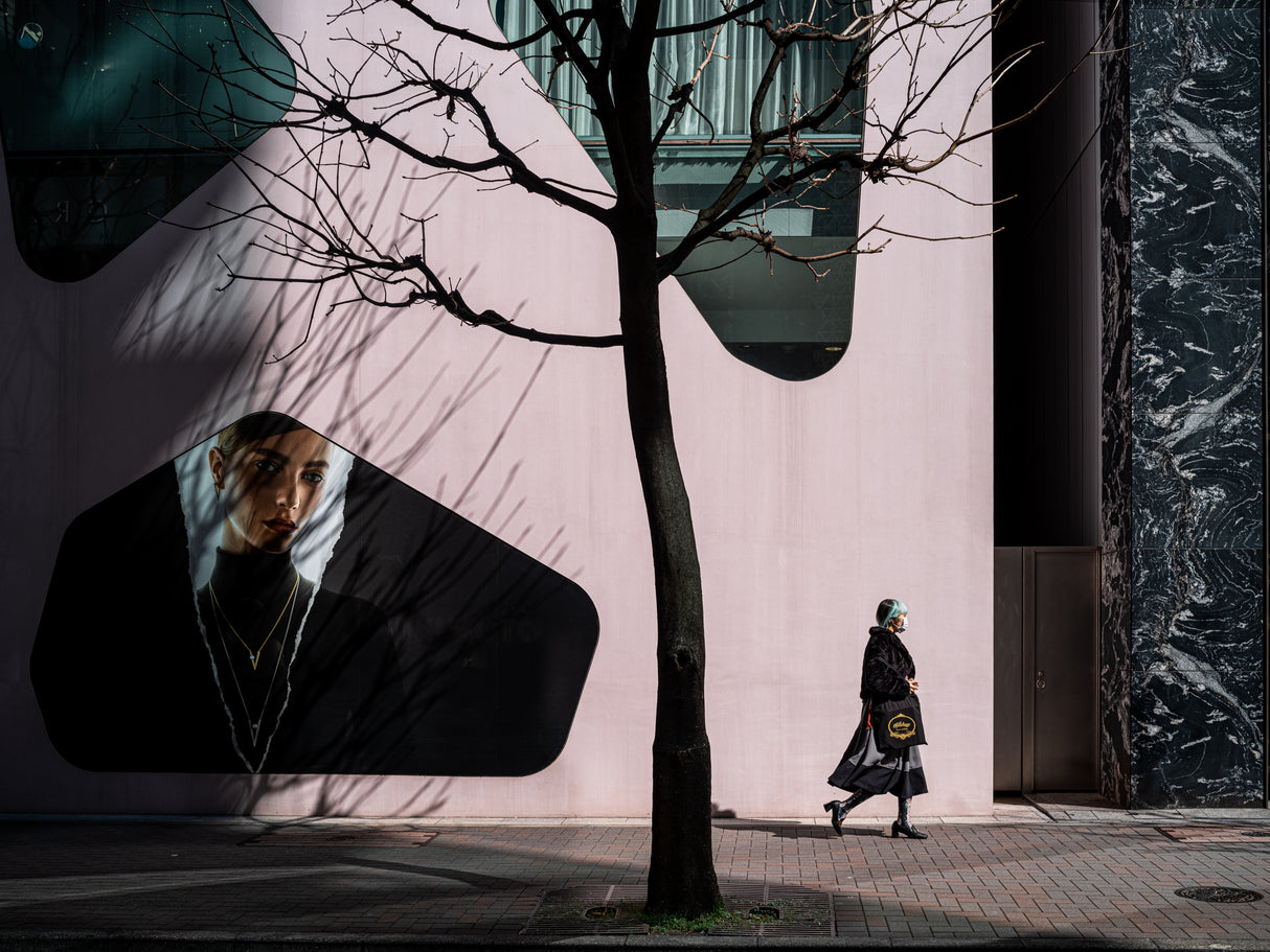 Ginza Tokyo Poster och Canvastavla