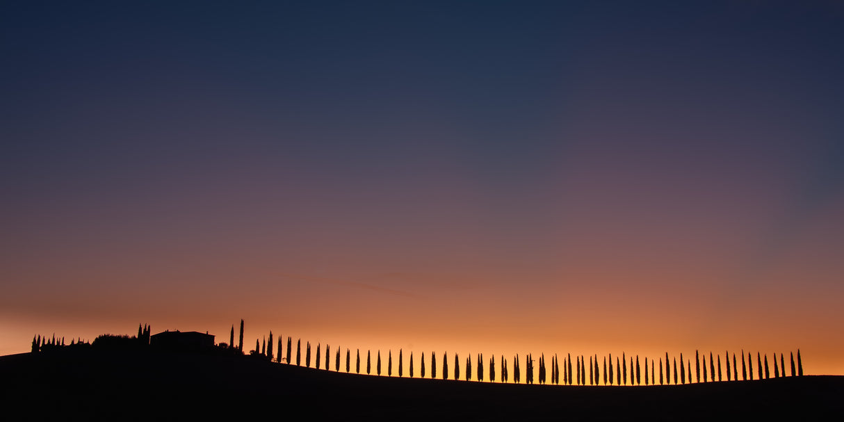 Sunrise in Tuscany. Poster och Canvastavla