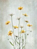 Summer Flowers Poster och Canvastavla