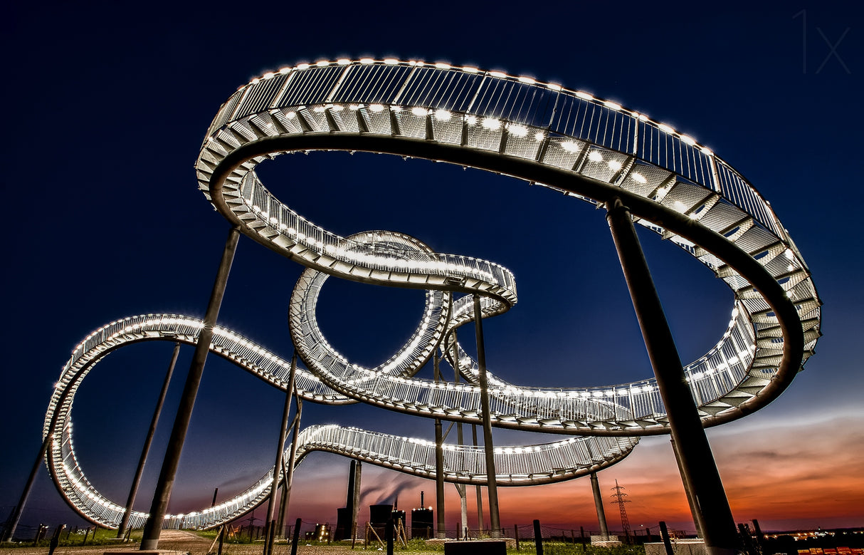 Tiger and Turtle at dawn Poster och Canvastavla