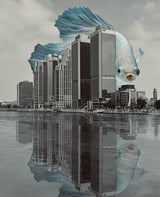 creative edit Poster och Canvastavla