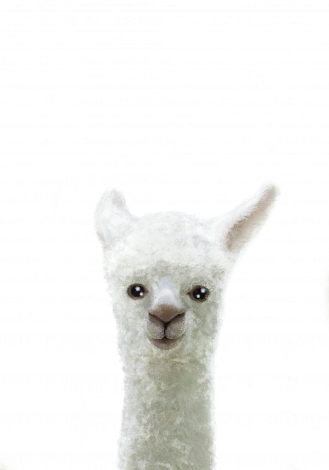 Llama Poster och Canvastavla