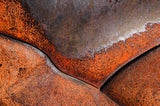 1950 GMC Truck Hood Detail, #145 Poster och Canvastavla