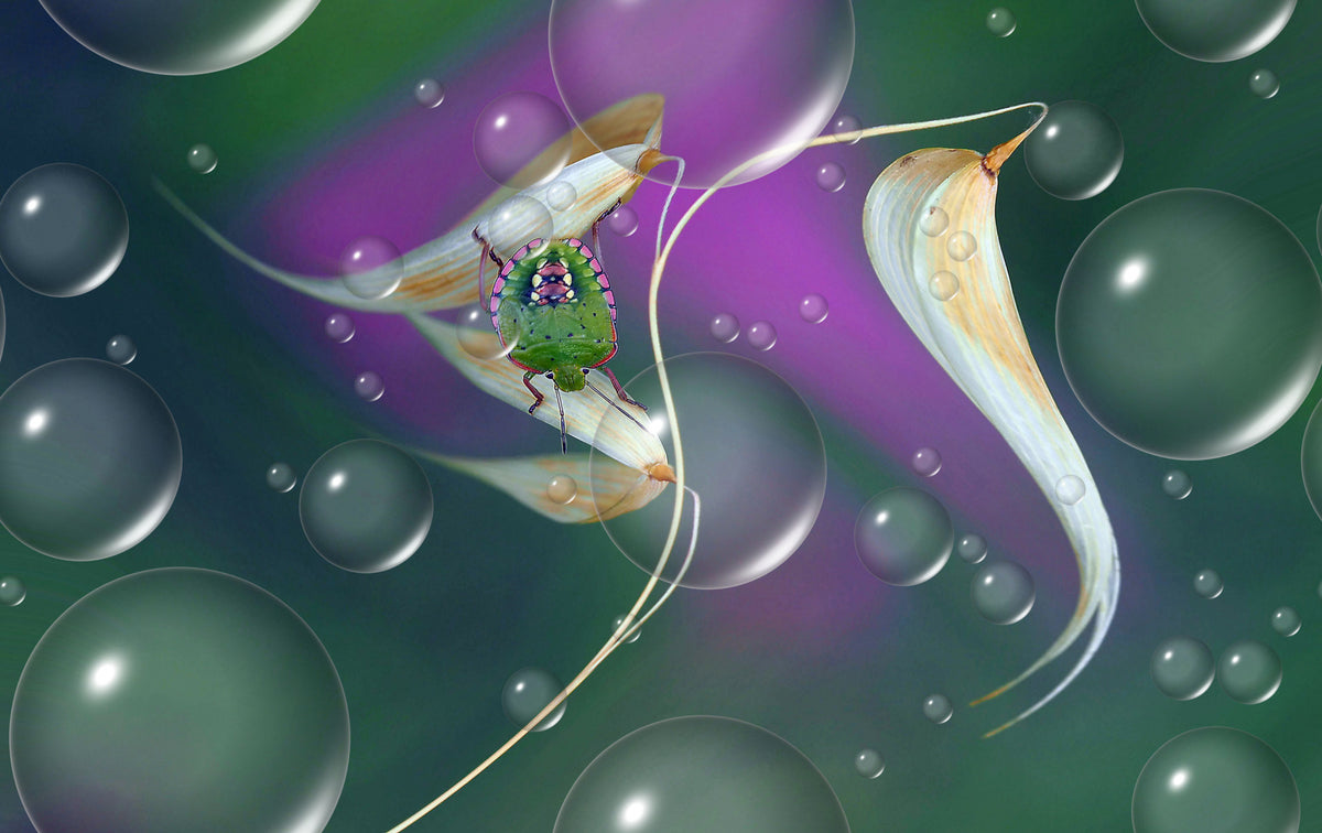 Journey into celestial splendors... Poster och Canvastavla