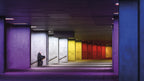 rainbow Poster och Canvastavla