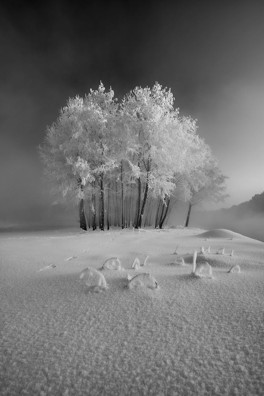 The first snow Poster och Canvastavla