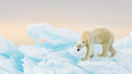 On ice Poster och Canvastavla