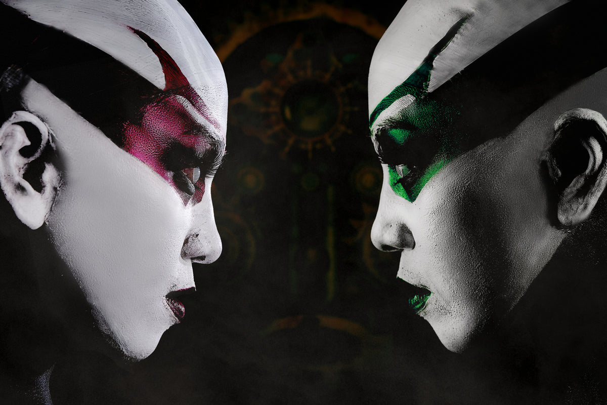 ASAJJ VENTRESS d Poster och Canvastavla