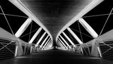 The bridge Poster och Canvastavla