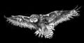 Snowy in the Rain Poster och Canvastavla