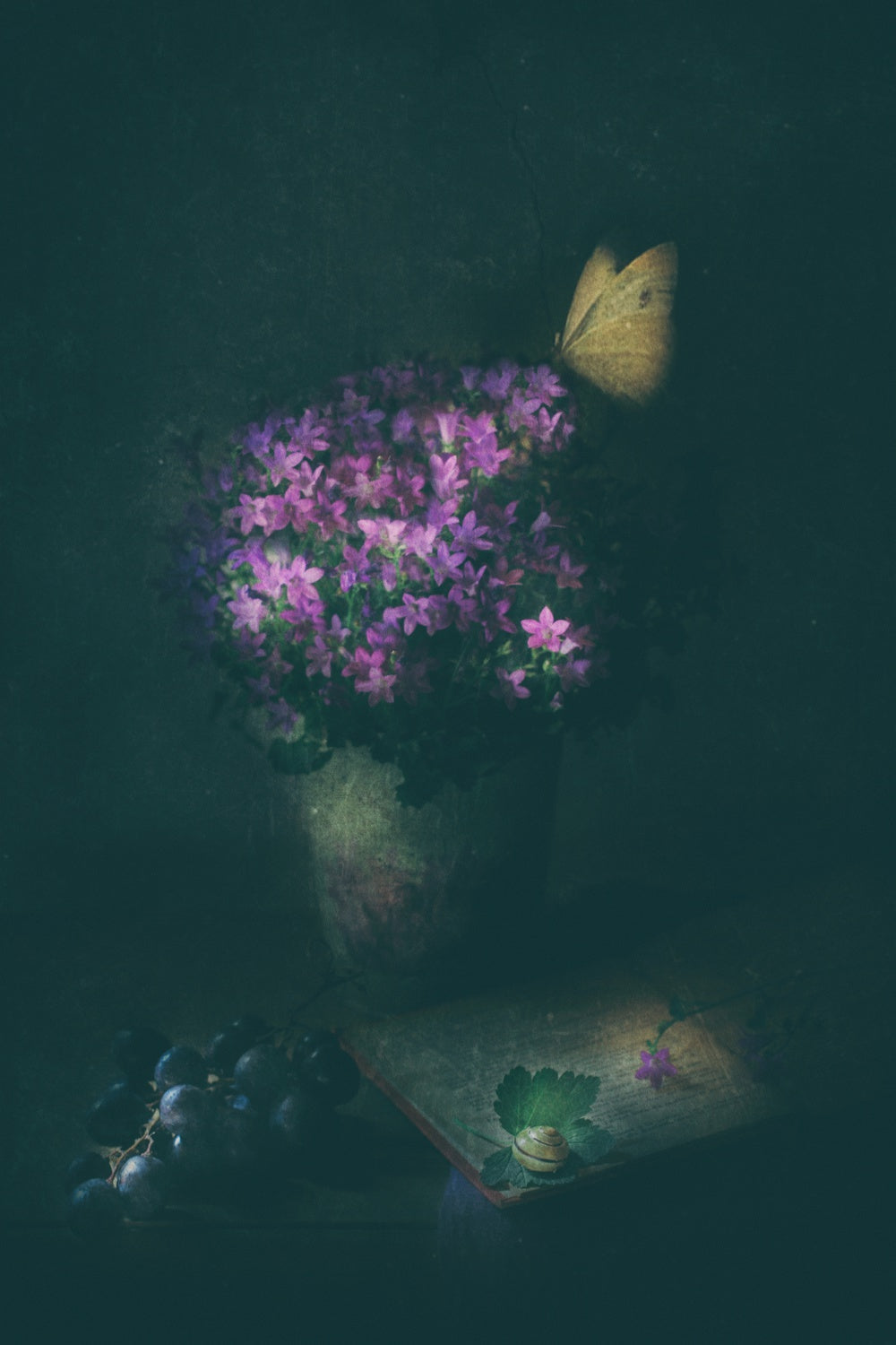 Mellow Light Poster och Canvastavla