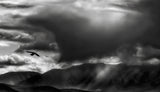 Thunderheads are shoe-thumping fellows ... Poster och Canvastavla