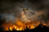 Fire in the National Park of Cilento #2 Poster och Canvastavla