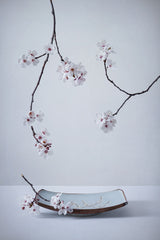 The First Cherry Blossom Poster och Canvastavla