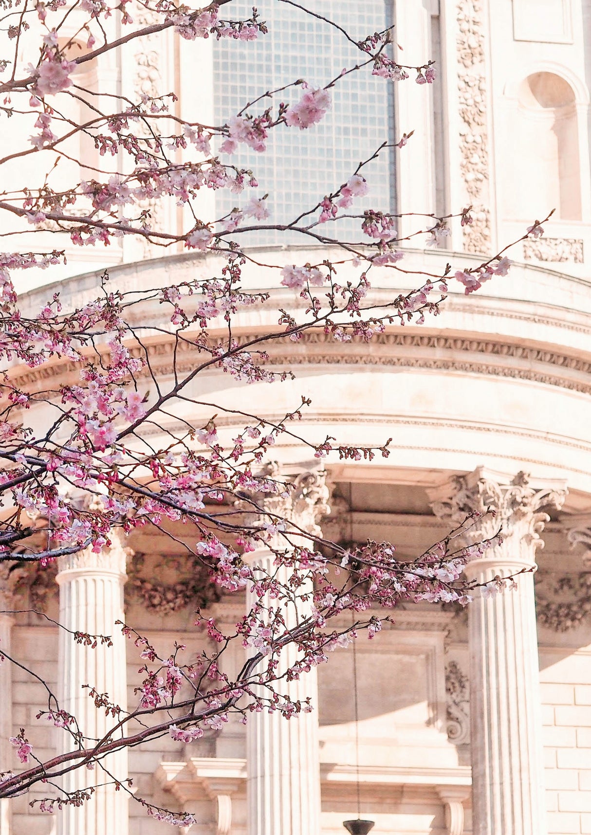 London Blossom Poster och Canvastavla