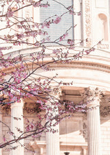 London Blossom Poster och Canvastavla