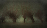 River landscape Poster och Canvastavla