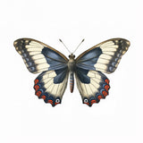 Butterfly 26 Poster och Canvastavla