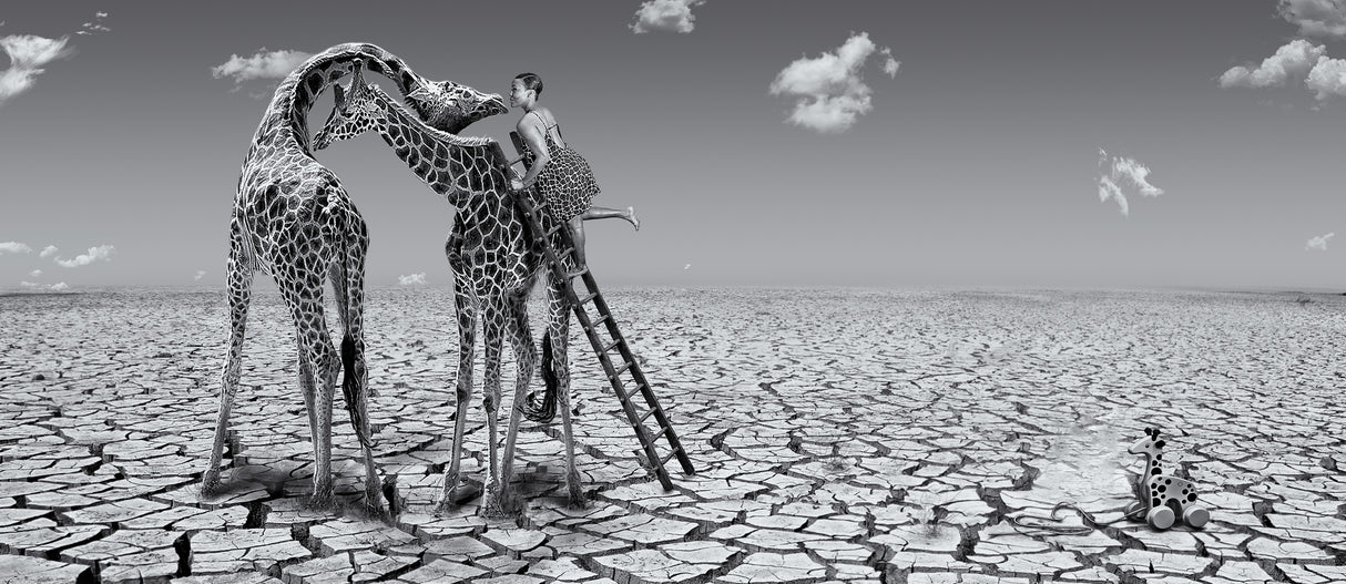 How to kiss a giraffe Poster och Canvastavla