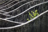 green - gray Poster och Canvastavla