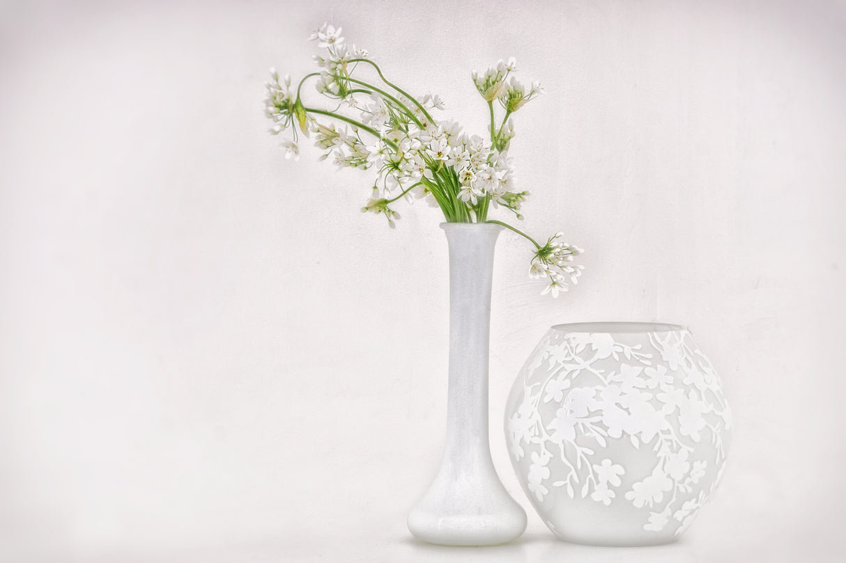 Star-of-Bethlehem Poster och Canvastavla