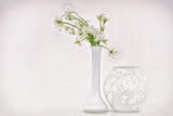 Star-of-Bethlehem Poster och Canvastavla