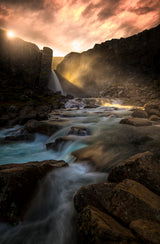 The light Poster och Canvastavla