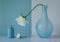Out of the Vase Poster och Canvastavla