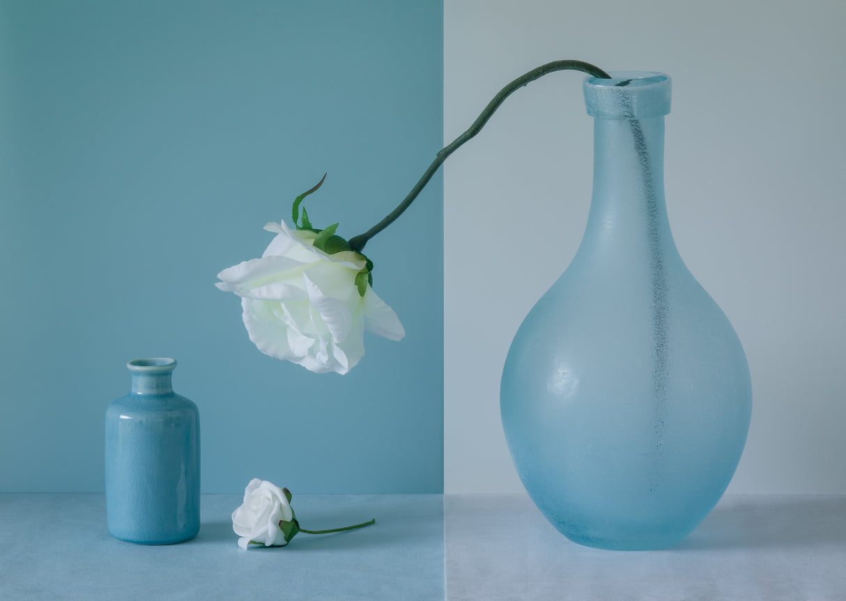 Out of the Vase Poster och Canvastavla