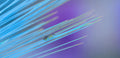 Laser beams... Poster och Canvastavla