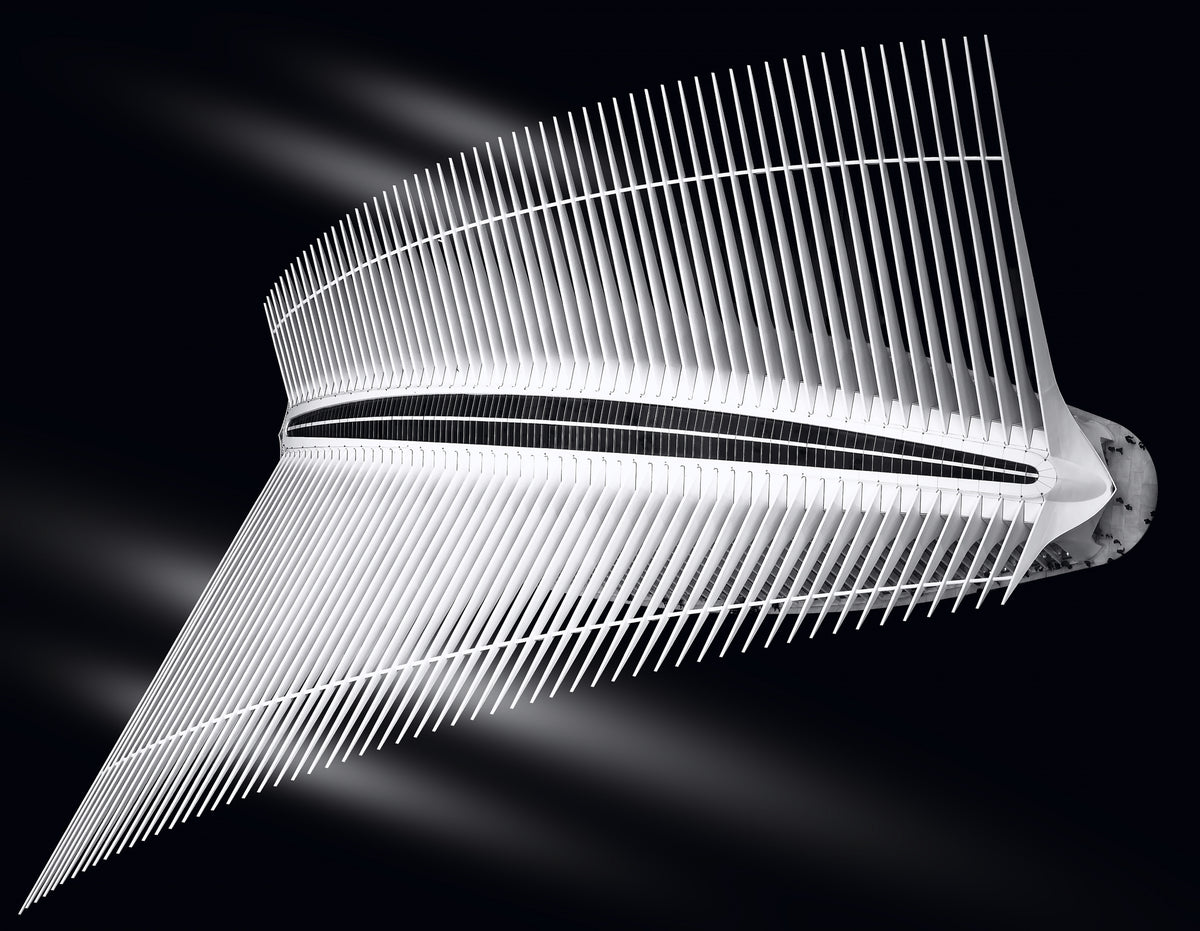 The flight of The Oculus Poster och Canvastavla